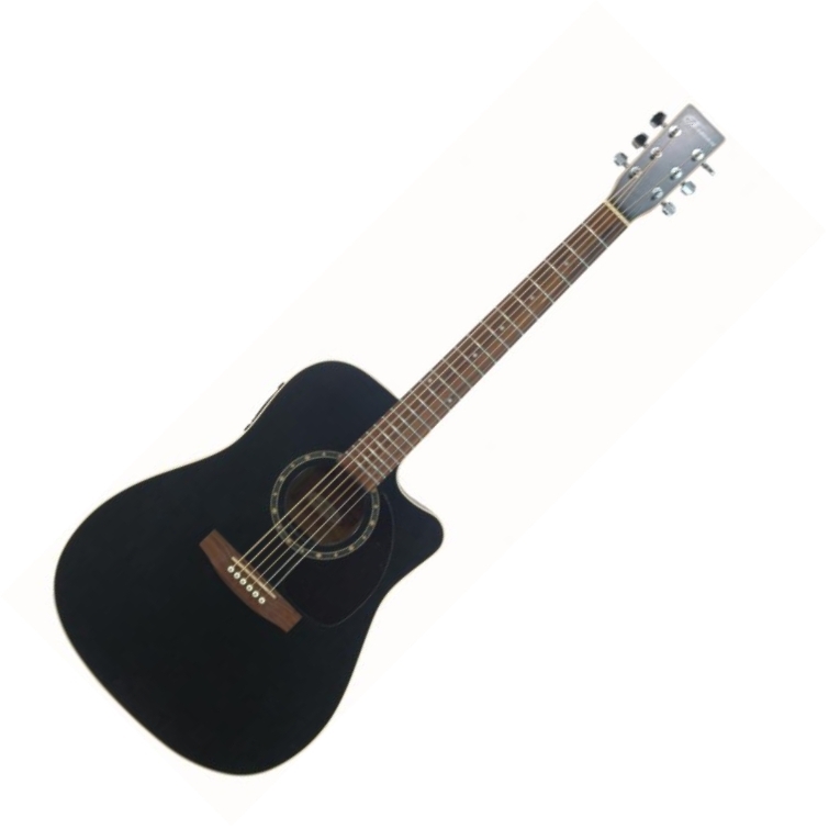 Arkguitars.ch - Protege B18 CW Cedar Black Presys - Guitars