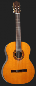dosantosds50cs650_arkguitarsmusicshop.png