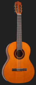 dosantosds40cg628_arkguitarsmusicshop1.png